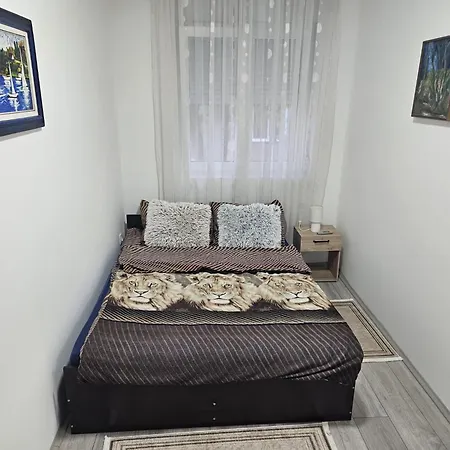 Islamovic Apartment Paracin